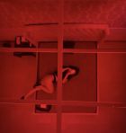 Камилла — эротический массаж лингама от 4000 руб. 