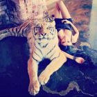 АлинаТранс, Сочи