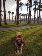 индивидуалочка, рост: 170, вес: 0 — элитные , г. Сочи